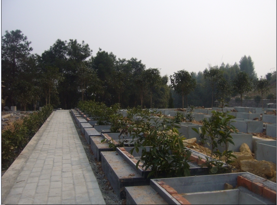 20140725165558-081748411849